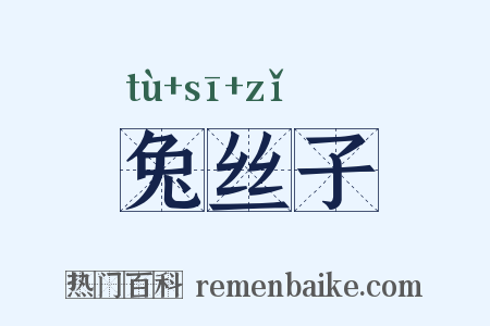 兔丝子是什么意思的图片